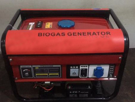 Biogas Generator 1,8kw